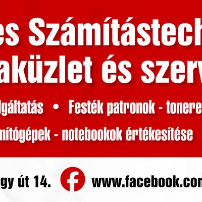 Tevékenységeink